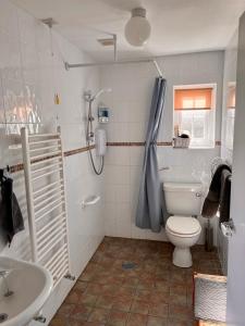 a bathroom with a toilet and a sink and a shower at Tornaroan Cottage in Ballycastle