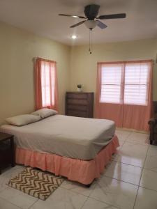 a bedroom with a bed and a ceiling fan at Level27 Pent 