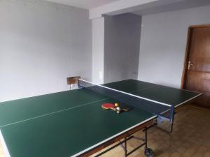 a ping pong table with a ping paddle on it at Apartman Đurđevak ,Banja Koviljača in Banja Koviljača