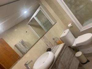 La salle de bains est pourvue de toilettes, d'un lavabo et d'une douche. dans l'établissement LM APARTAMENTOS PLAYA GRANADA Dos Mares, à Motril