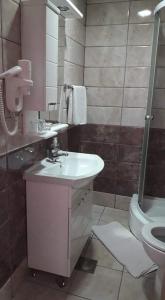 a bathroom with a sink and a toilet at Apartments Mite in Ohrid