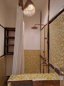 a bathroom with a shower with a shower curtain at Villa Adelina Zanzibar in Zanzibar City