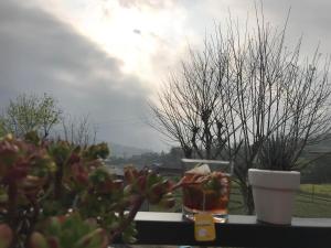 a window sill with a potted plant and a cup at Little Ta Van Homestay in Sapa