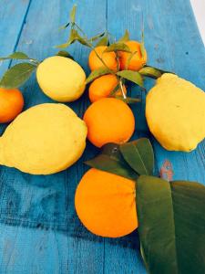 a group of lemons and oranges on a blue table at Cyprus Villages Hotel & Restaurant - Central Location - Bed & Breakfast - With Access To Pool And Stunning Views in Tochni