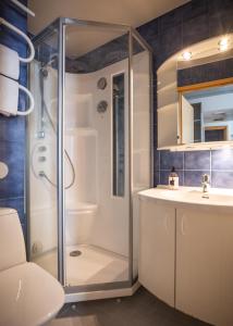 a bathroom with a shower and a sink at Budget Hotel Karhu in Sodankylä