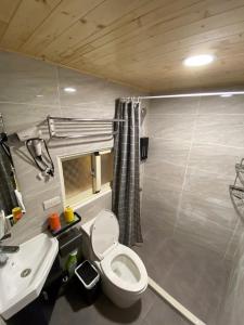 花蓮市的住宿－花蓮花米家包棟住宿，一间带卫生间和水槽的小浴室