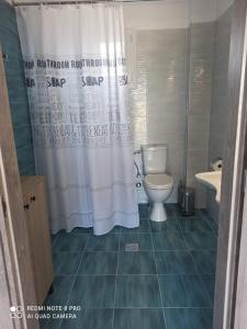 a bathroom with a toilet and a shower curtain at GERANI apartments in Órmos