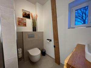 a bathroom with a toilet and a sink and a window at INTERGO Apartments in Brackel
