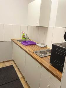 Una cocina o kitchenette en Monteurunterkunft Königstein