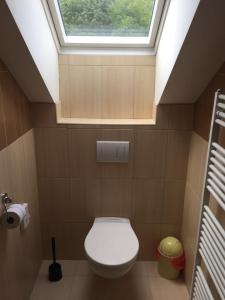 a bathroom with a toilet with a skylight at Ubytovanie Eva in Oščadnica
