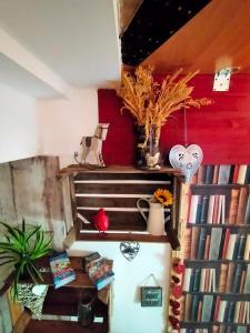 Zimmer mit Kühlschrank und einigen Büchern in der Unterkunft Chambres d'hôtes chez sandrine in Rhinau