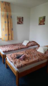 two beds sitting next to each other in a room at Apartments Pernink 341 in Pernink