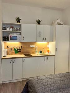 Kuchyň nebo kuchyňský kout v ubytování Maria Apartment Liben