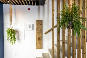 Fotografie z fotogalerie ubytování Olá Vida - Hostel Caminha v destinaci Caminha