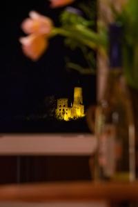 a blurry picture of a castle at night with flowers at Rooftop 85qm - Burgblick - Loggia - Büro - Klima in Schriesheim