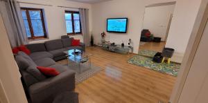 TV in/ali zabaviščno središče v nastanitvi Apartmany U Lva