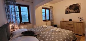 Postelja oz. postelje v sobi nastanitve Apartmany U Lva