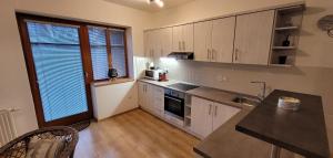 Kuhinja oz. manjša kuhinja v nastanitvi Apartmany U Lva