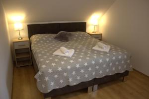 Postelja oz. postelje v sobi nastanitve Apartmany U Lva