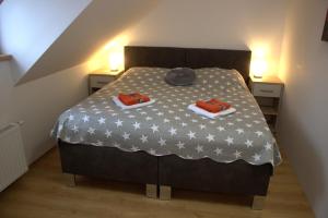 Postelja oz. postelje v sobi nastanitve Apartmany U Lva