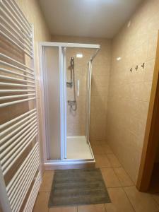 een douche met een glazen deur in de badkamer bij Hostel Hodonín in Hodonín