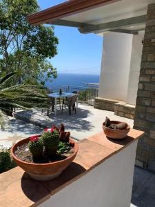 eine Terrasse mit zwei Topfpflanzen und einem Tisch in der Unterkunft Casa Livia in Castellabate