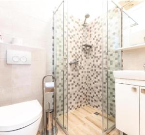 a bathroom with a shower and a toilet and a sink at Apartments Niko in Novalja +44 photos