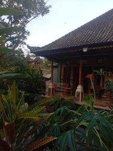 a house with a lot of plants in front of it at Khailash Warung and Home Stay in Sidemen