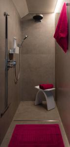 ein Badezimmer mit einer Dusche und einem roten Teppich in der Unterkunft B&B Bergdal in Gits