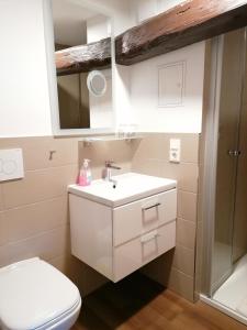 a bathroom with a white sink and a toilet at Hotel garni "Alter Fritz" in Quedlinburg