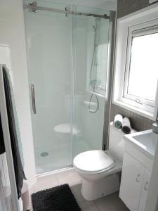 a bathroom with a shower and a toilet and a sink at Tiny Ferienhaus Kelze in Hofgeismar