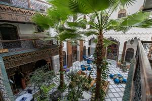 an indoor courtyard with palm trees in a building at Riad Semlalia in Fès