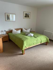 a bedroom with a green bed with a cat laying on it at Landgasthof und Landpension Hohenkirchen in Hohenkirchen +28 photos
