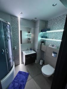 a bathroom with a toilet and a sink and a shower at Apartament VIP-2 in Reda