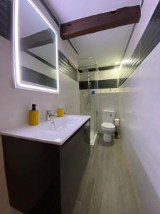 La salle de bains est pourvue d'un lavabo et de toilettes. dans l'établissement La alcoba de La Catedral, Apartamento 2-4 pax 3º piso, à Cuenca