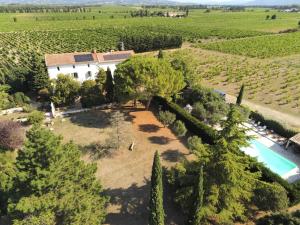 una vista aérea de una villa en un viñedo con piscina en Mas de Bouvau, en Violès