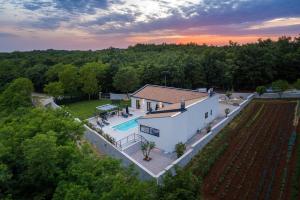 uma vista aérea de uma casa com piscina em Villa Vetosa by IstriaLux em Žminj