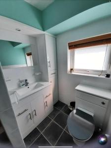 een badkamer met een wastafel, een toilet en een spiegel bij SNOWDONIA COTTAGE in Caernarfon
