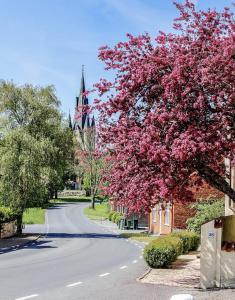 a tree with pink flowers on the side of a street at Köpmansgården Bed & Breakfast in Vellinge