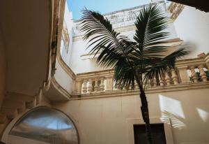 een palmboom in een kamer met een gebouw bij Dimora Santangelo in Lecce