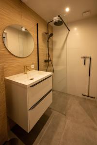 een badkamer met een wastafel en een douche met een spiegel bij ZEN-Bungalow NO 4 met sauna en hottub in Rheezerveen