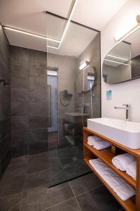 a bathroom with a sink and a shower at Latitude 21 in Saint-Gilles-les-Bains
