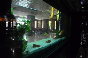 a fish tank in a dark room with a fish at Hotel Best in Ploieşti