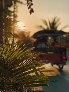 un autobús conduciendo por una calle con una palmera en The Reef Hotel & Studios en Ko Lipe