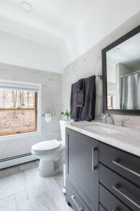 a bathroom with a toilet and a sink and a mirror at Luxury 3Bed Private Apartment Near Manhattan in New Rochelle