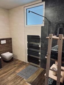 a bathroom with a toilet and a glass window at Apartment Country House Zaton in Tišina
