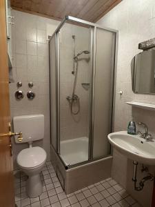 ein Bad mit einer Dusche, einem WC und einem Waschbecken in der Unterkunft Almberghütte in Philippsreut
