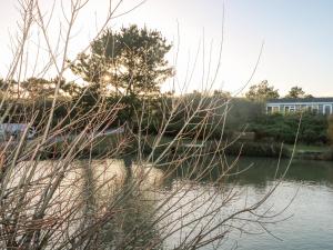 Fotografie z fotogalerie ubytování Amberwood 42 v destinaci Lymington
