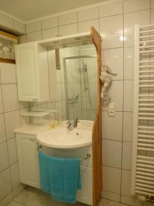 ザールブルクにあるFerienwohnung Jung im Johannisbornの洗面台と鏡のあるバスルーム