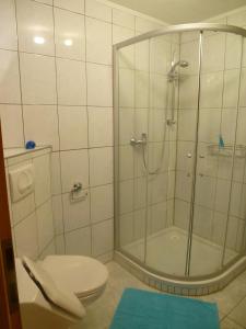 ザールブルクにあるFerienwohnung Jung im Johannisbornのシャワーとトイレ付きのバスルーム